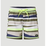 O'Neill PM Horizon Shorts