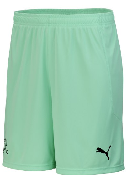 Puma Schweiz Goalkeeper Short 2019/20 Kinder