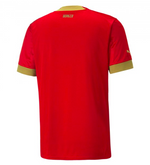 Puma FSS Serbien WM Trikot Replica 2022/23 Home