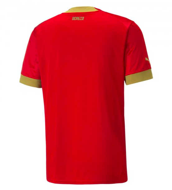 Puma FSS Serbien WM Trikot Replica 2022/23 Home