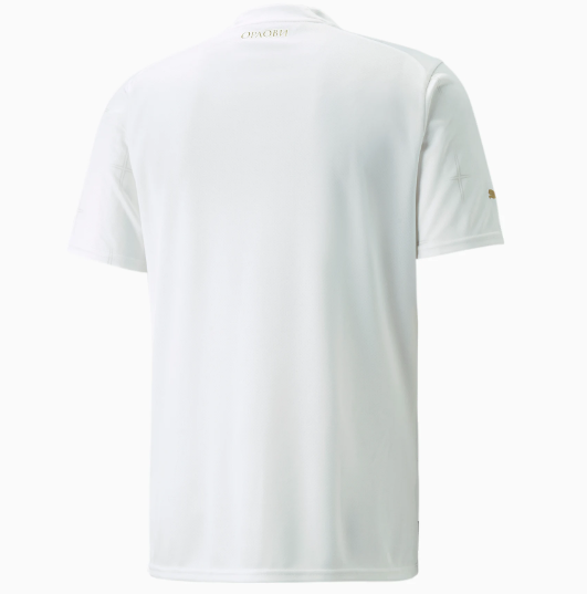 Puma FSS Serbien 2022/23 Away