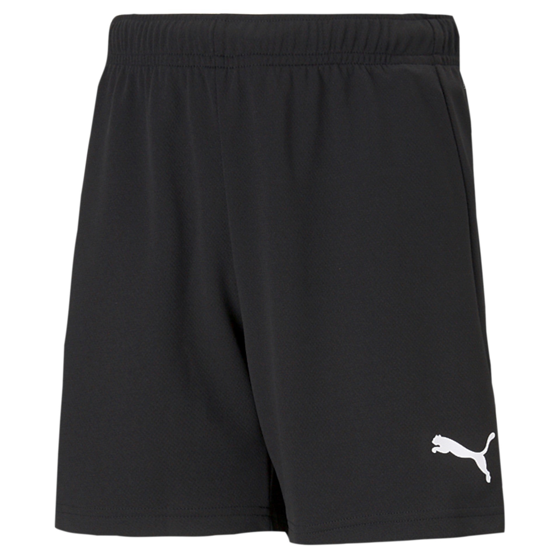 Puma Team Rise Shorts (Kinderfussball Bubikon/Wolfhausen)