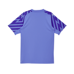 Puma SFV Schweiz Goalie Trikot SS Replica 2024 Junior, blau/glimmer