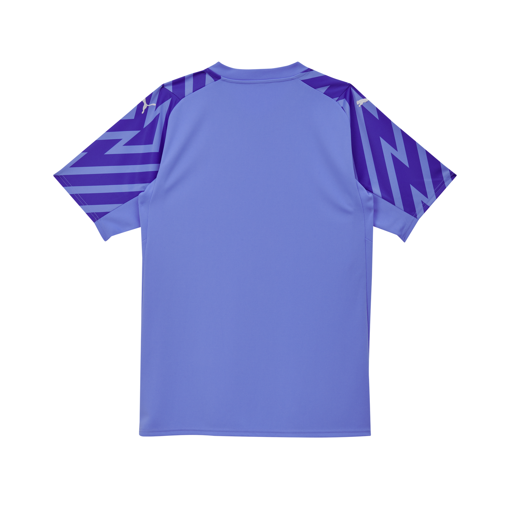 Puma SFV Schweiz Goalie Trikot SS Replica 2024 Junior, blau/glimmer