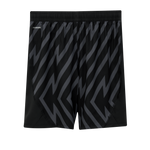 Puma SFV Schweiz Goalie Shorts Replica 2024 Junior, schwarz