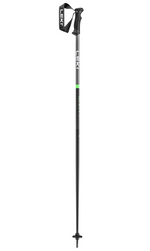 Leki QNTM Skistock, anthracite/grün