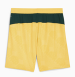Puma AC Milan Shorts 3rd 2025/26
