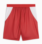 Puma SFV Schweiz Shorts Home 2026