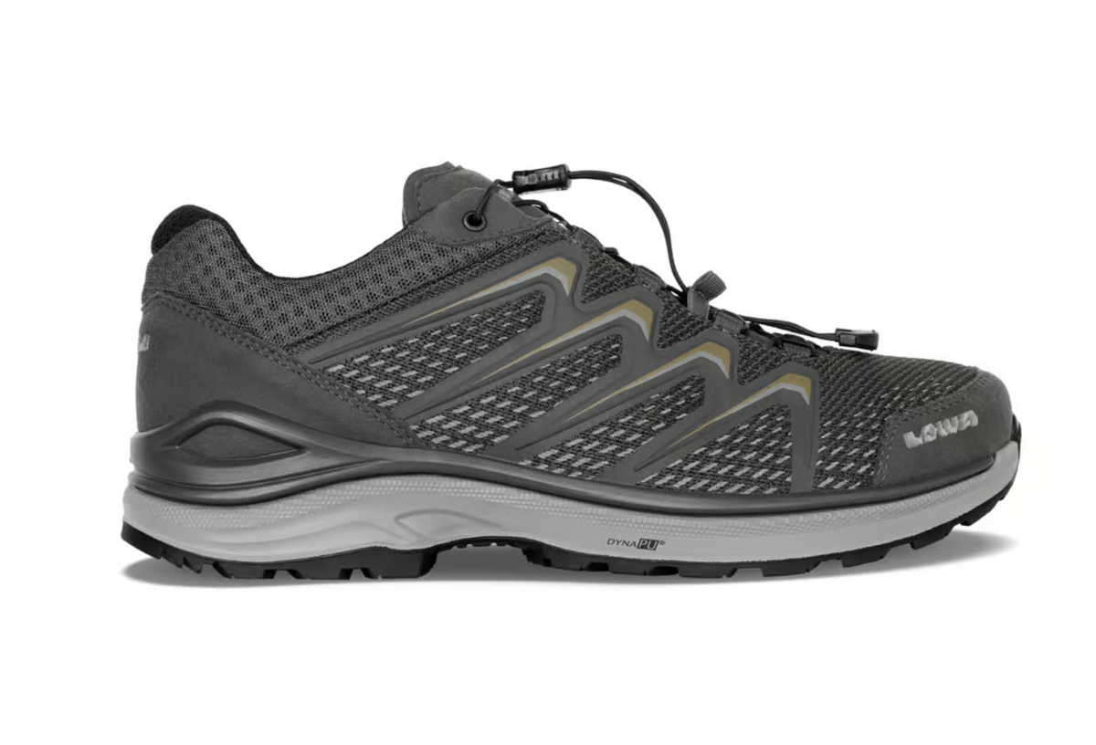 Lowa Meadow GTX LO SL Trekkingschuh, graphit/bronze