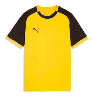 Puma Team Liga Shirt Kinder (Kinderfussball Bubikon/Wolfhausen)